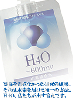 H4O -600mv