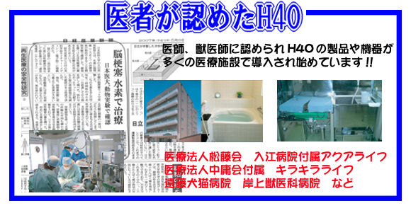 H4O�̐��f��
